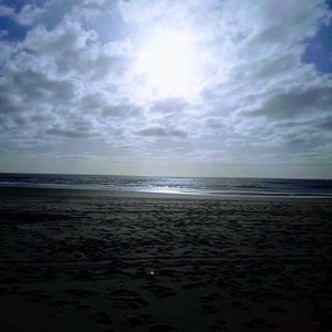 Meet your Posher, Misty